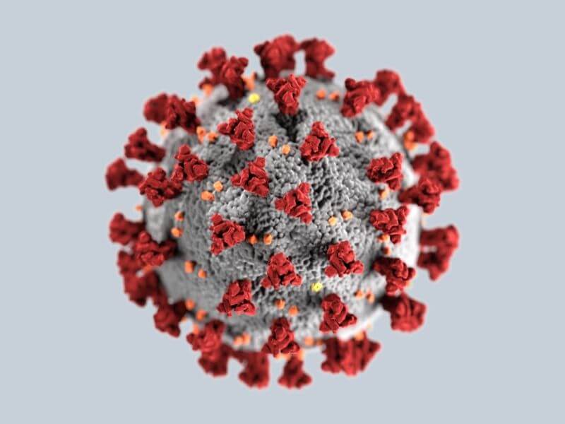 Coronavirus COVID-19